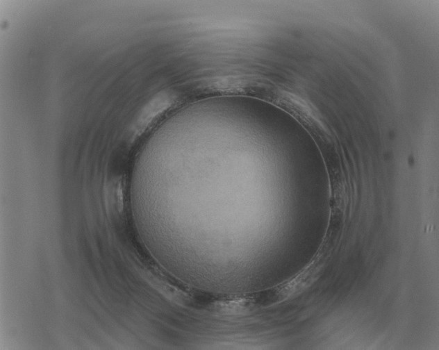 X0000075890120200609221921