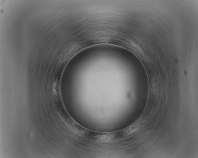 X0000075890122200609221921