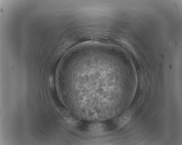 X0000075890123200609221921