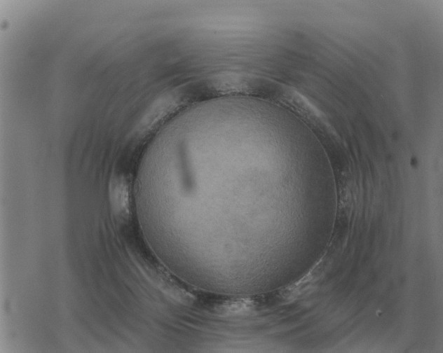 X0000075890124200609221921