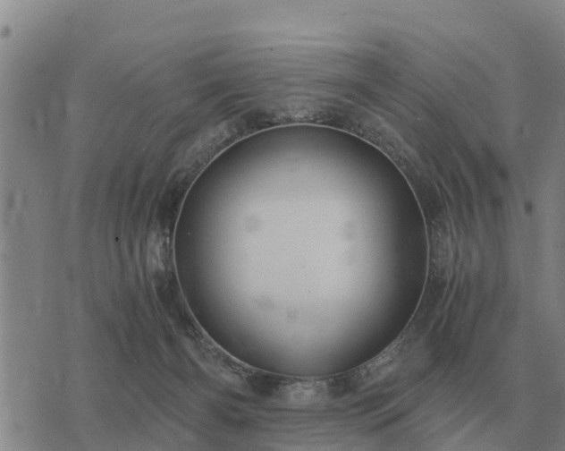 X0000075890126200609221921