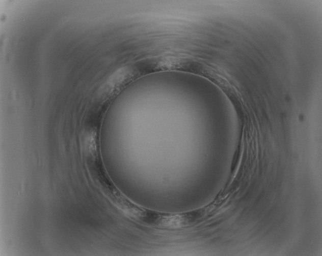 X0000075890127200609221921