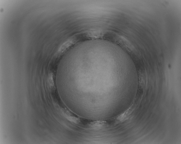 X0000075890128200609221921