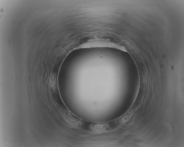 X0000075890129200609221921