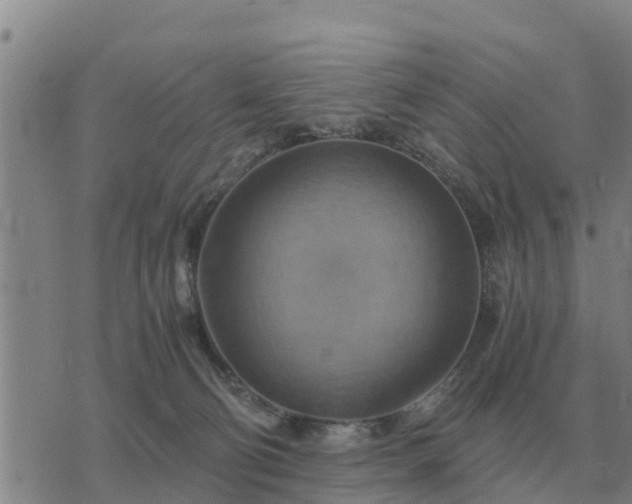 X0000075890130200609221921