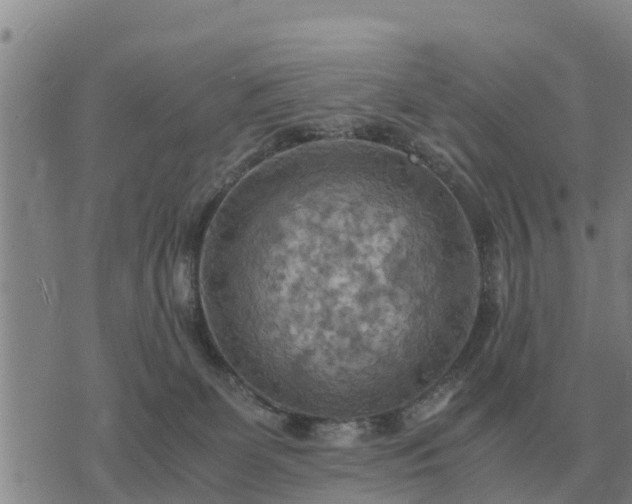 X0000075890131200609221921