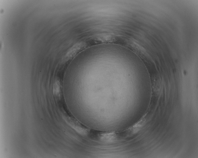 X0000075890132200609221921