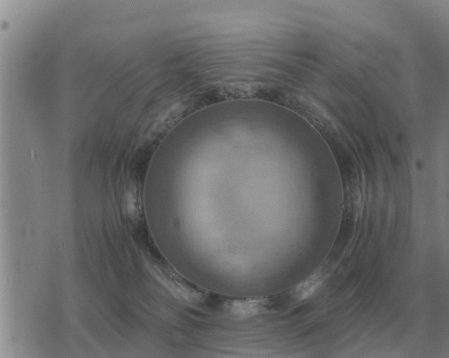 X0000075890134200609221921