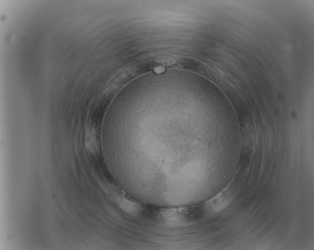 X0000075890136200609221920