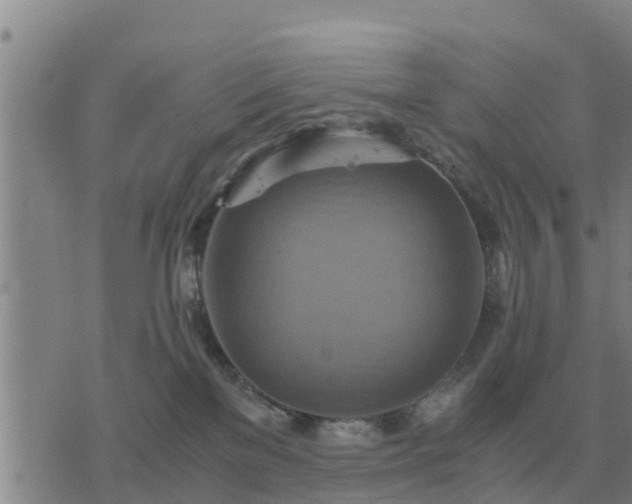 X0000075890137200609221920