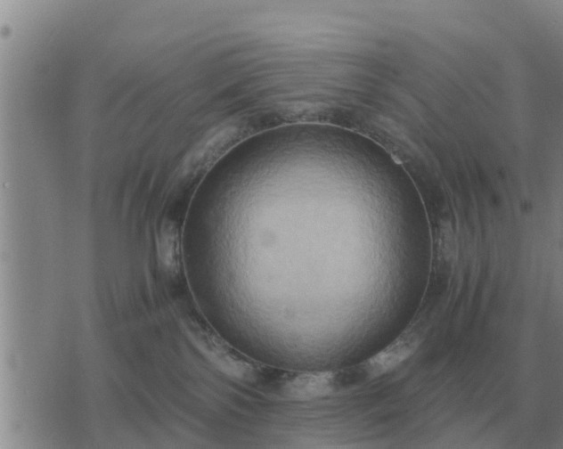 X0000075890138200609221920