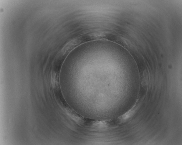 X0000075890140200609221920