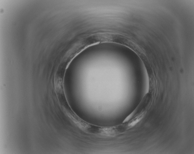 X0000075890141200609221920