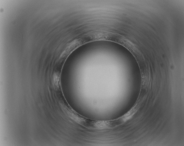 X0000075890142200609221920