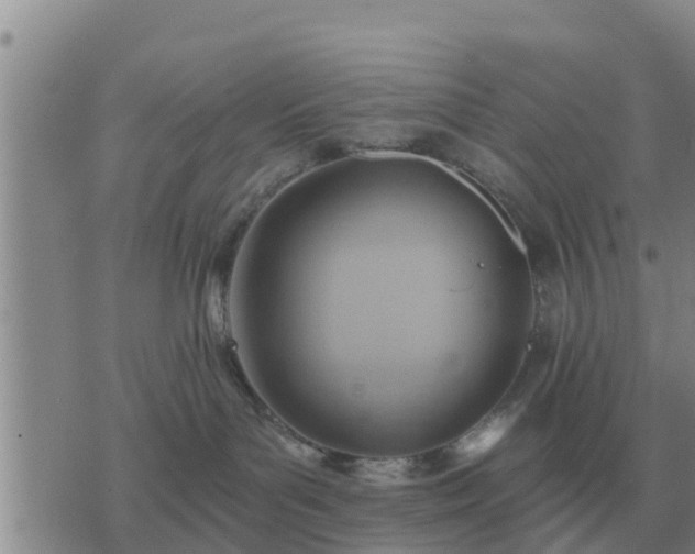 X0000075890143200609221920