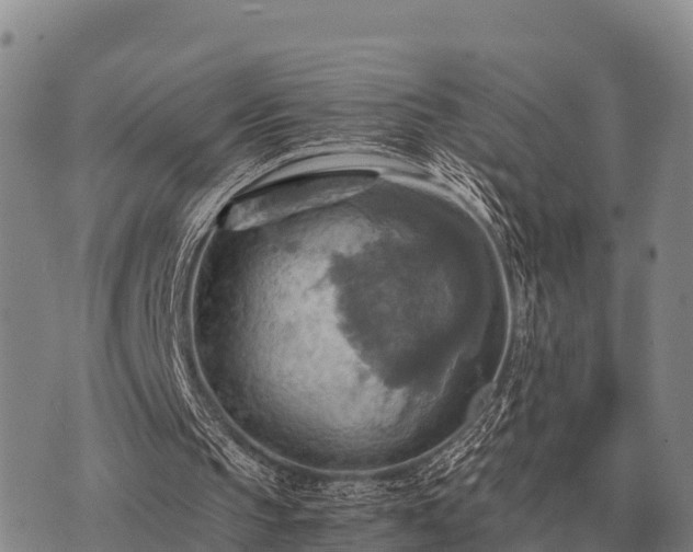 X0000075890145200609221920