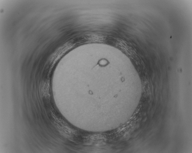 X0000075890146200609221920