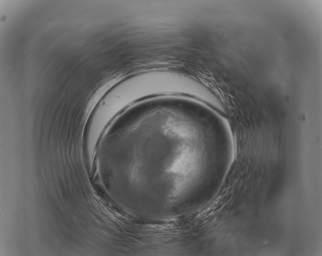 X0000075890147200609221920