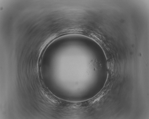 X0000075890148200609221920