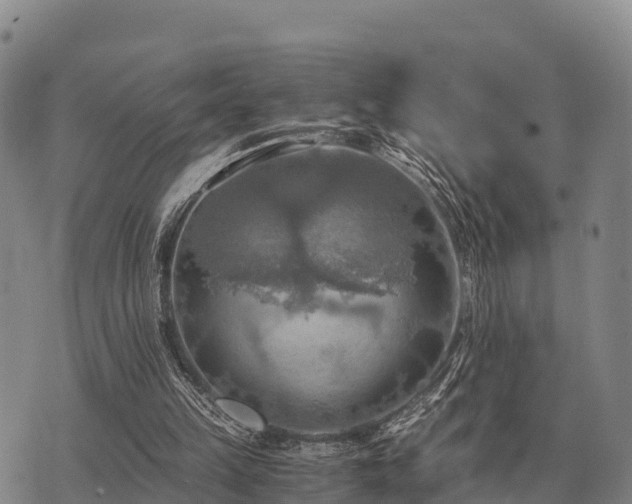 X0000075890149200609221920