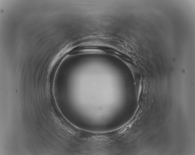 X0000075890150200609221920