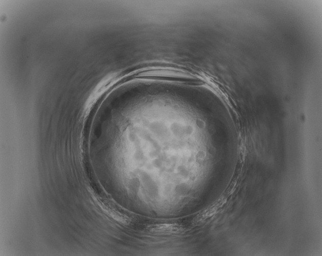 X0000075890151200609221920