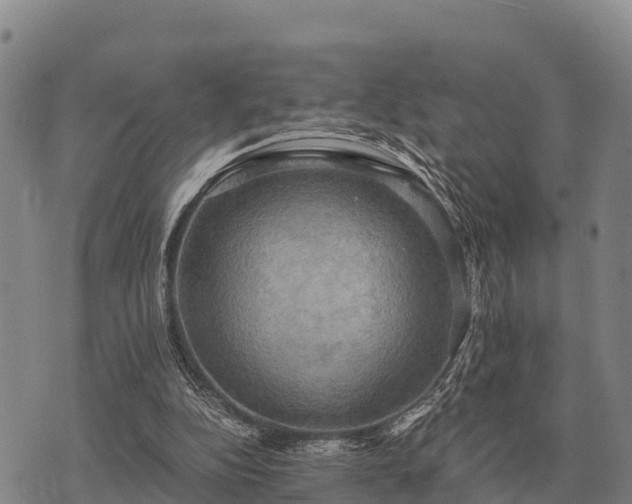 X0000075890152200609221920