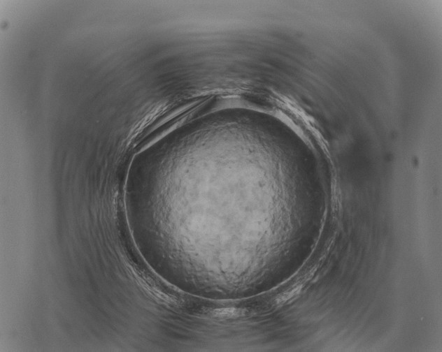 X0000075890153200609221920