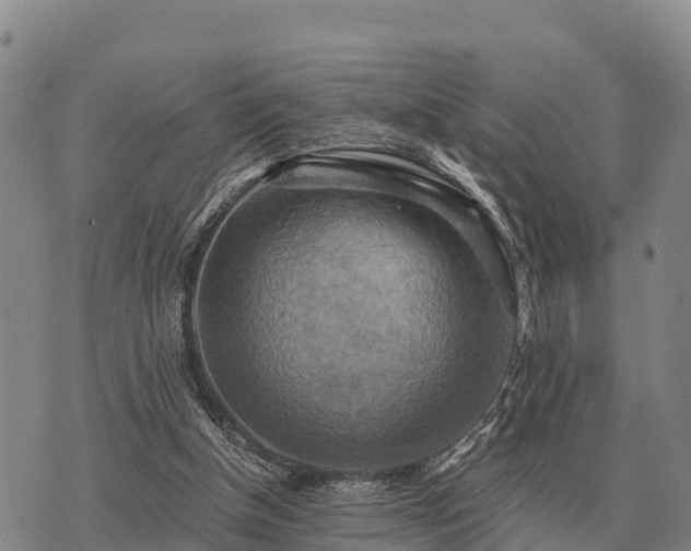 X0000075890154200609221920