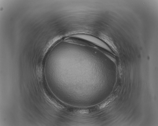 X0000075890156200609221920