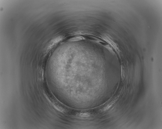 X0000075890157200609221920