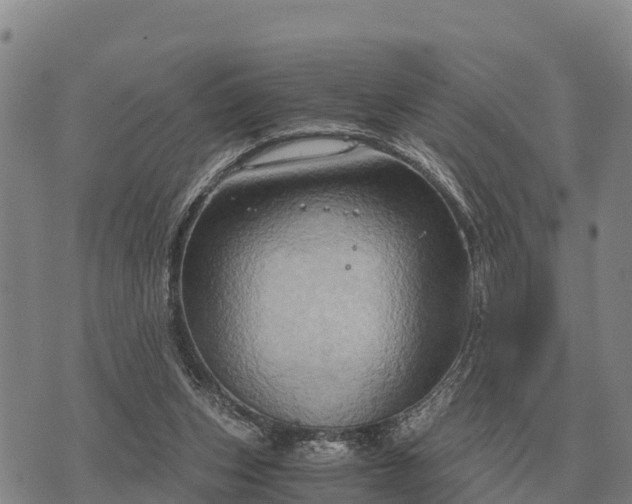 X0000075890159200609221920