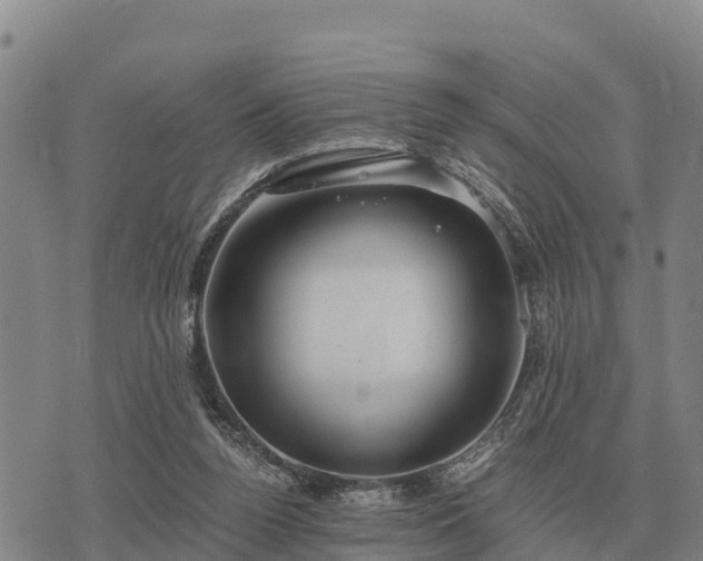 X0000075890160200609221920