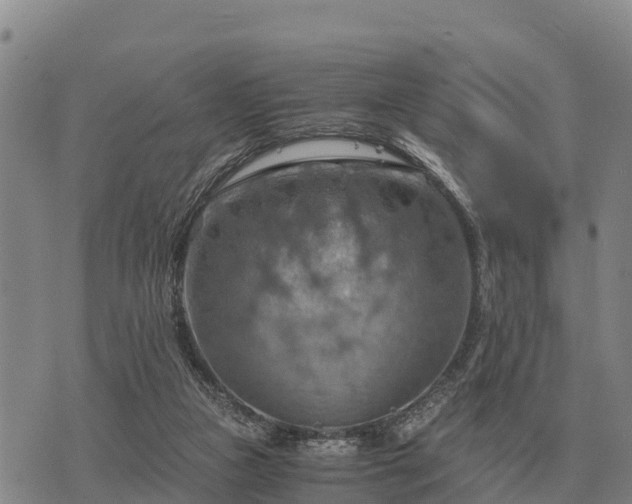 X0000075890161200609221920