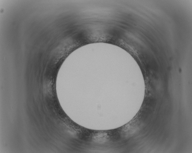 X0000075890162200609221920