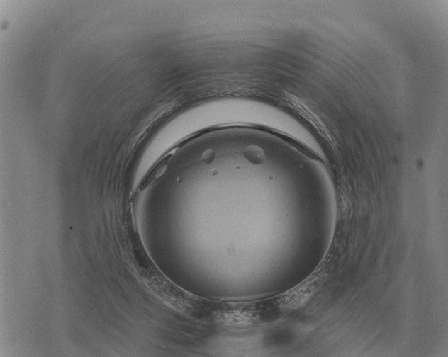 X0000075890163200609221920