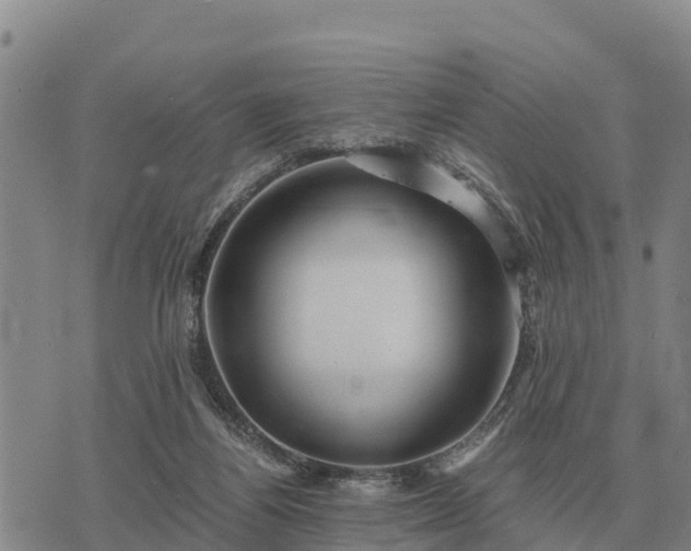 X0000075890164200609221920