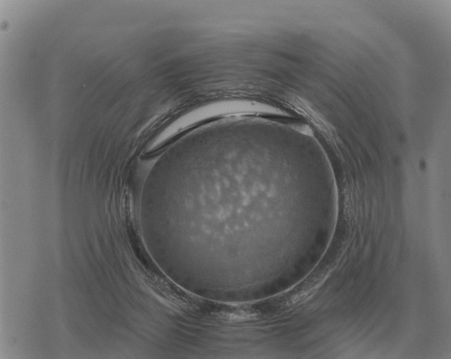 X0000075890165200609221920