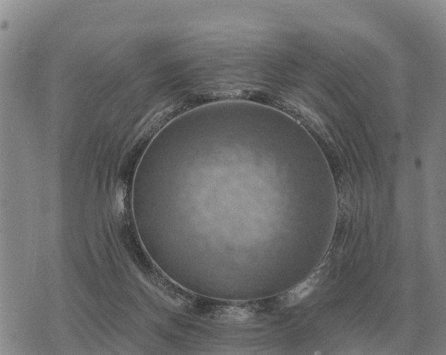 X0000075890166200609221920