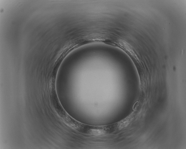 X0000075890167200609221920