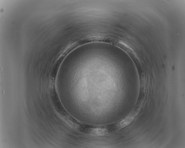 X0000075890168200609221920