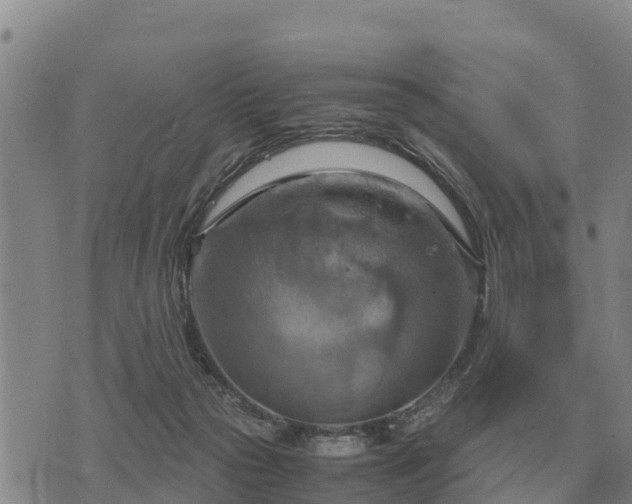 X0000075890169200609221920