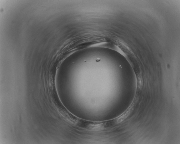 X0000075890170200609221920