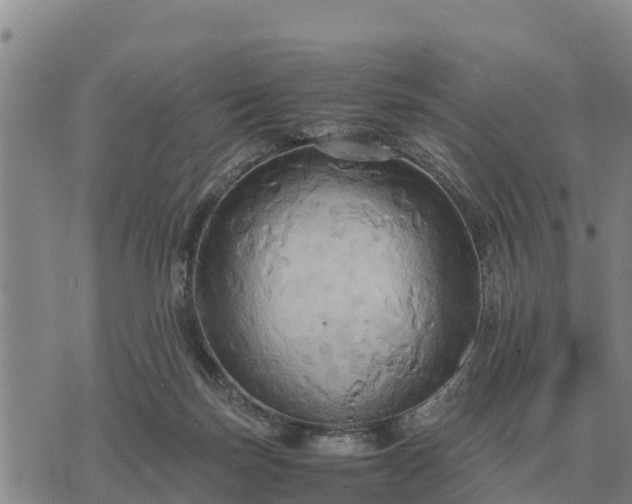 X0000075890171200609221920