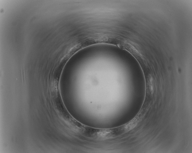 X0000075890172200609221920