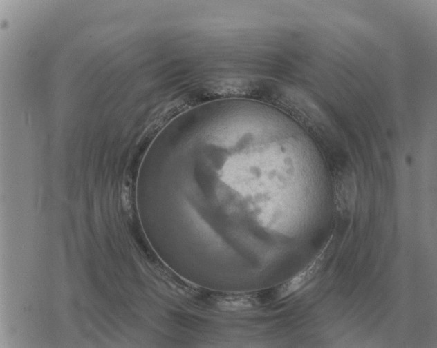 X0000075890175200609221920