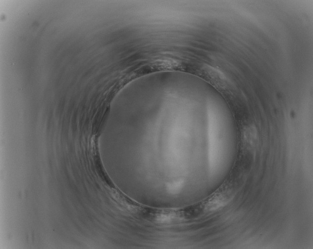 X0000075890177200609221920