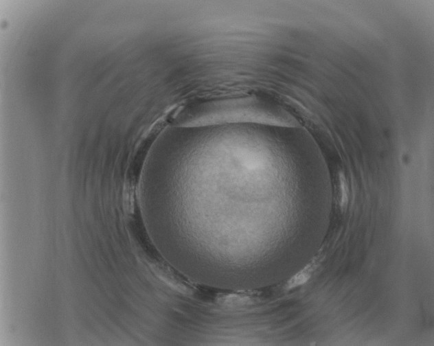 X0000075890180200609221920