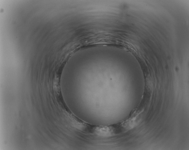 X0000075890181200609221920