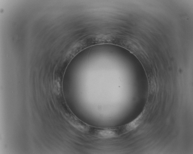 X0000075890183200609221920